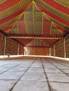 280291106_486027106555510_7914900187973762871_n