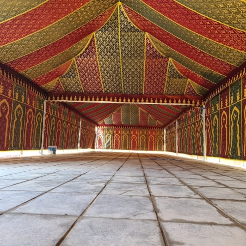 280291106_486027106555510_7914900187973762871_n